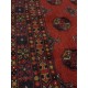 Baluch