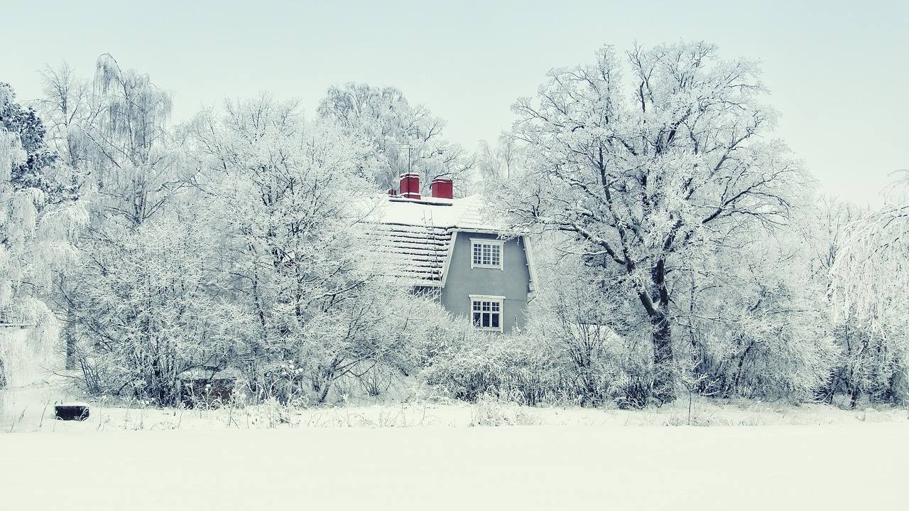 dom wśród drzew pokrytych śniegiem