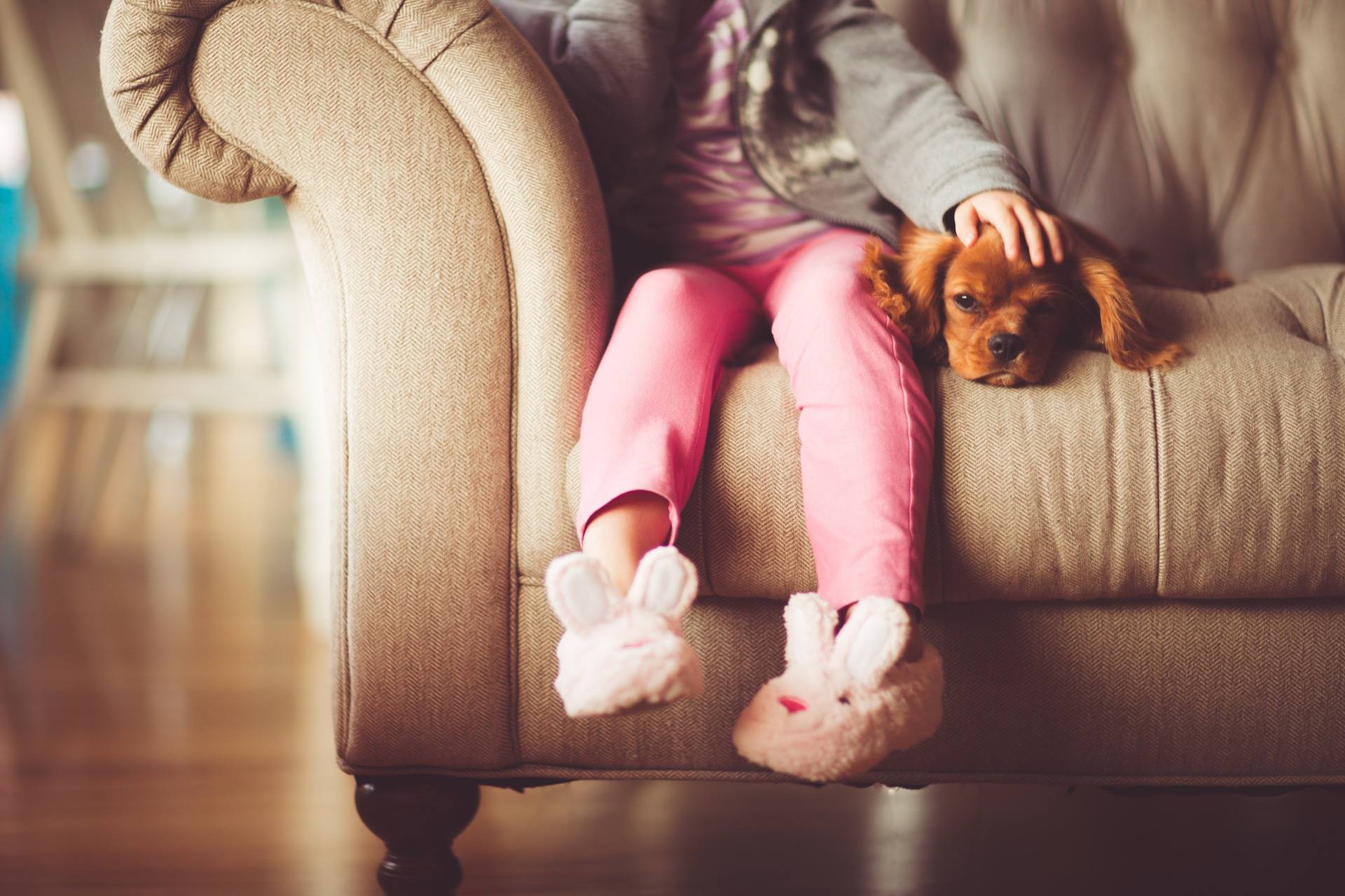 dziecko siedzące z psem na sofie