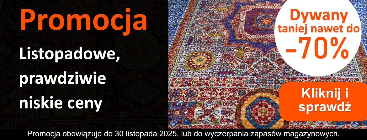 Listopadowa promocja!